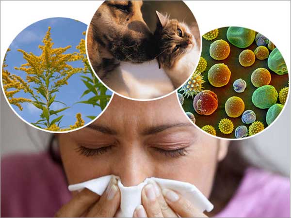 allergies treatment bangalore