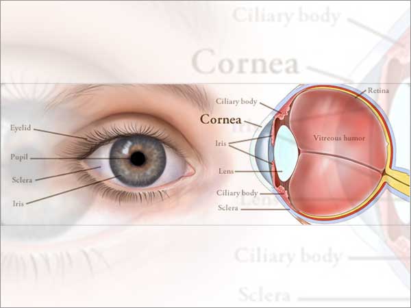 eye diseases treatment bangalore